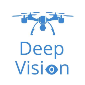 Deep Vision Logo